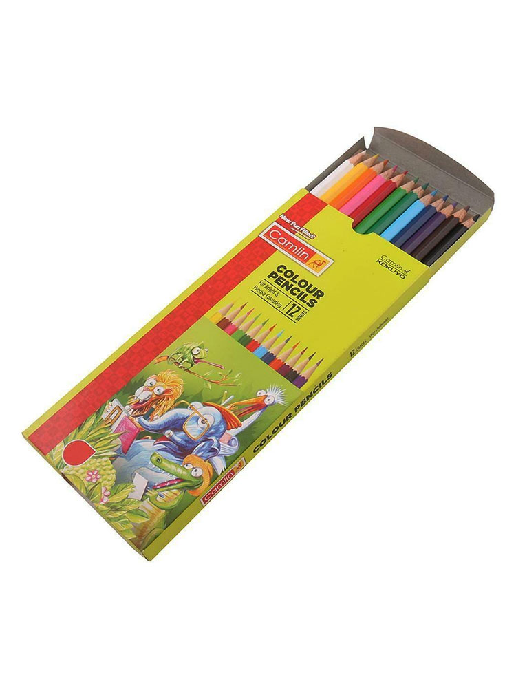 Camlin store colour pencils